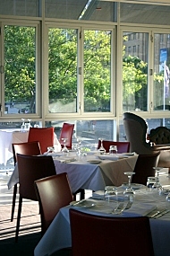 Cruise - tables tree background 2