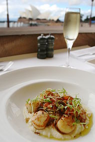 Wolfies - scallops view of opera house