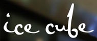 Ice Cube Seafood Grill Bar - logo