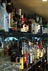 Garfish - bar