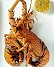 Garfish : Seafood restaurant