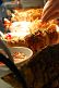 Featured Restaurants Shoal-Bay - Cookabarra