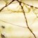 Criniti's : Pizza restaurant