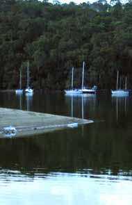 Echo on the Marina - boats beach reflections
