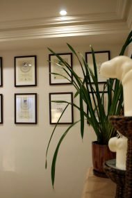 Jonah's - awards on wall
