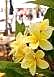 Beachouse Grillbar : Australian restaurant